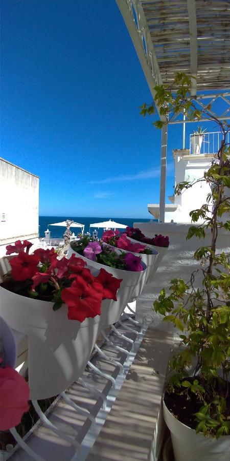 My Monopoli- Casa Dei Fiori "Orchidea" Centro Storico Hotel Luaran gambar